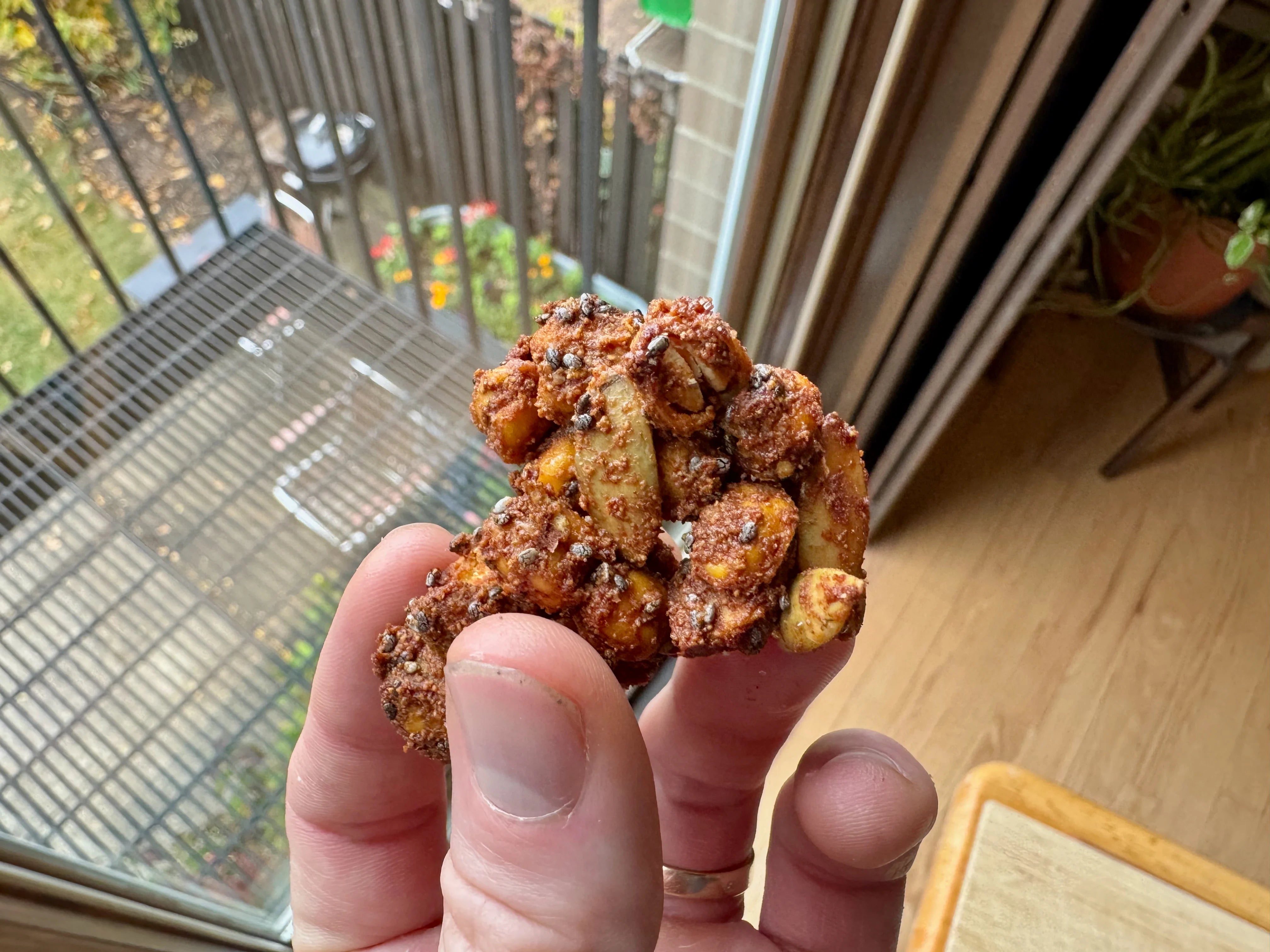 Hand holding a snack with a blurred outdoor background