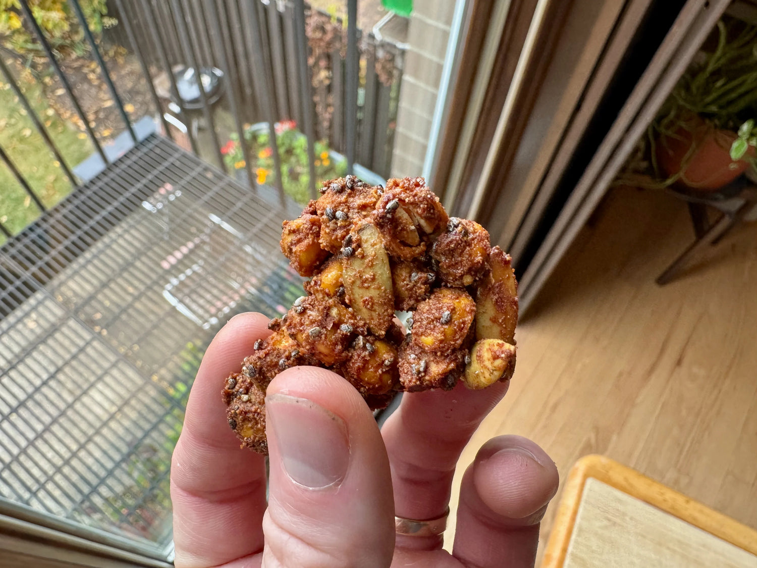 Hand holding a snack with a blurred outdoor background