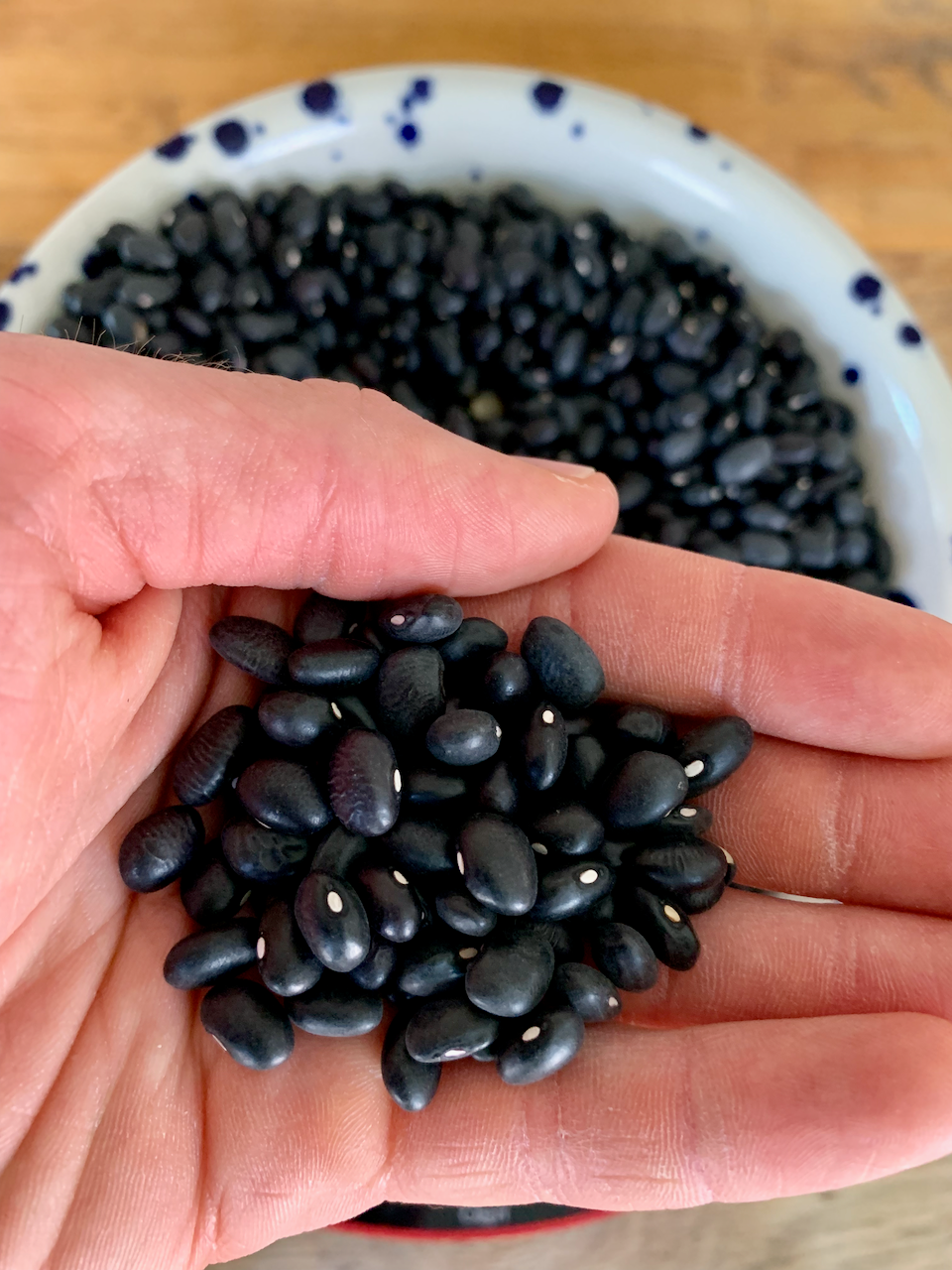 Organic Black Beans (Dry)