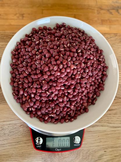 Organic Adzuki Beans (Dry)