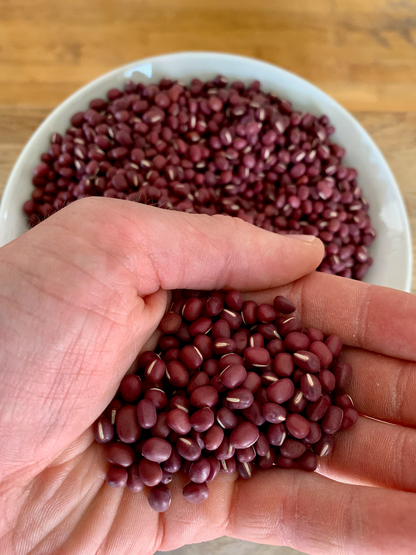 Organic Adzuki Beans (Dry)